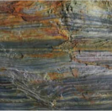 Burning Forest Burning Forest